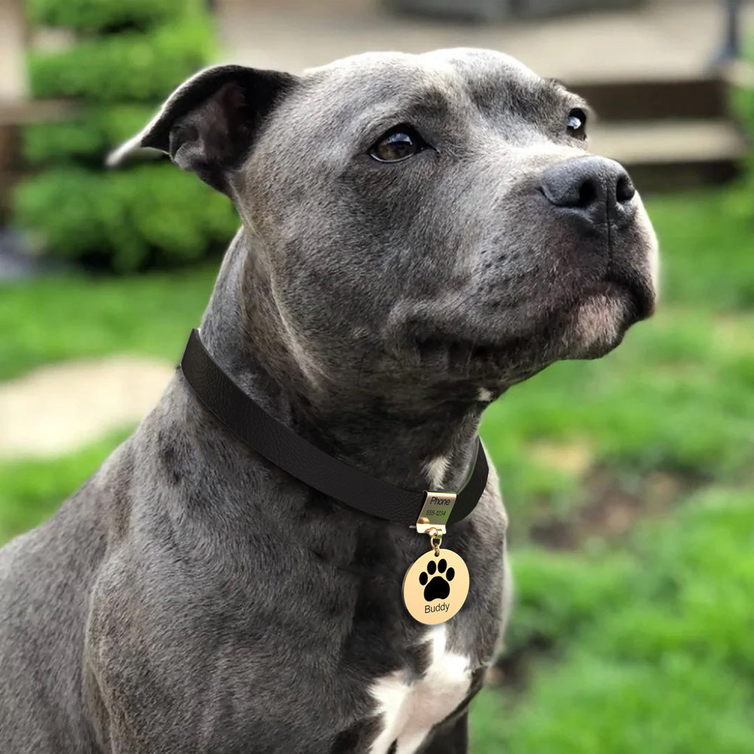 Pet Leather Collar With Custom Name & Phone Number Footprint Pendant