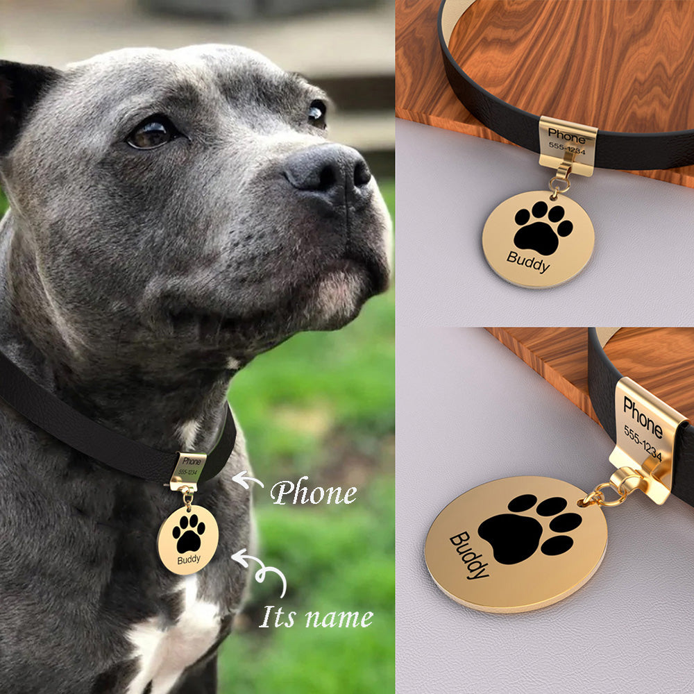 Pet Leather Collar With Custom Name & Phone Number Footprint Pendant